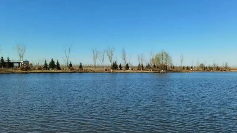 雄安新区最新资讯,探索自然美景,重拾内心的宁静之旅