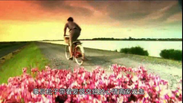 不敢看第二遍的电影,一场自然美景的鼓舞之旅