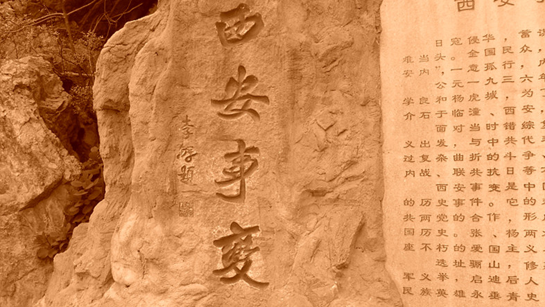 电影西安事变,一场自然美景的探险之旅,寻找内心的平和与喜悦