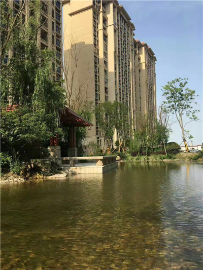 淮安星雨华府最新住宅价格,一场与自然美景的邂逅,寻找内心的平和与宁静