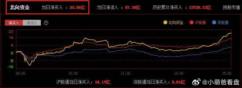 四虎最新地址,探索热门平台的最新动态与趋势