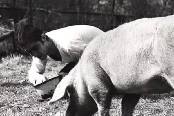 一个人和他的猪,电影背后的故事