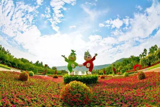 花都小道士,与自然美景的邂逅与内心的觉醒