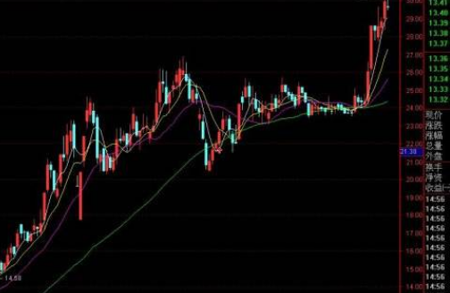 什么是除权股票