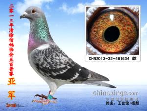 晋祠公棚最新资讯,观点论述