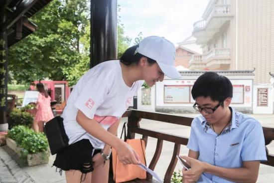 毛竹苗价格表,全面解析毛竹苗市场与价格走势