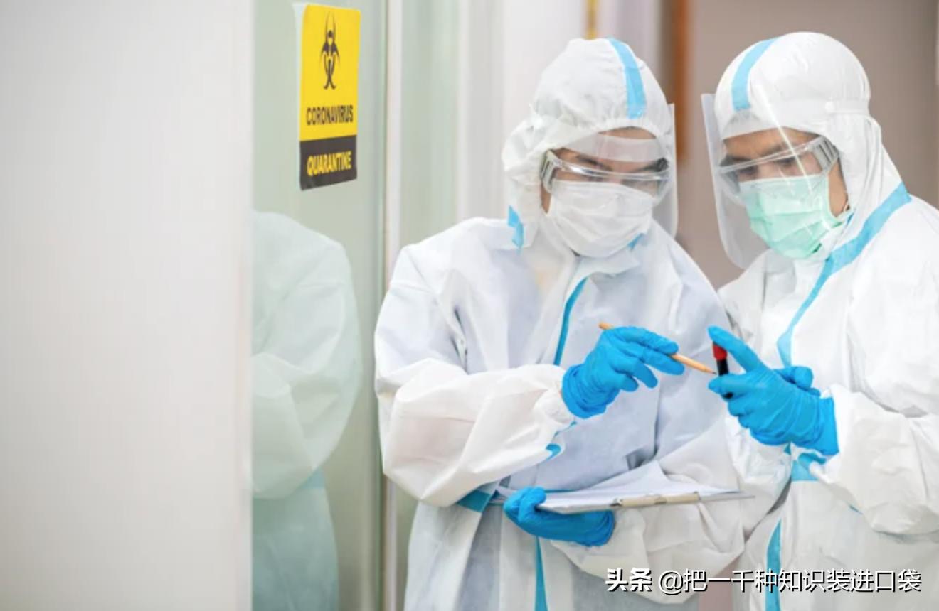 大板最新疫情下的自然探索之旅,寻找内心的宁静与平和