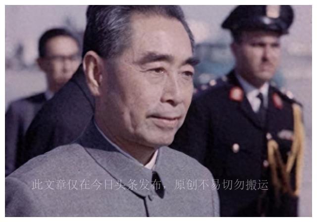 最新小熊故事,探索自然之旅,寻找内心的宁静与喜悦