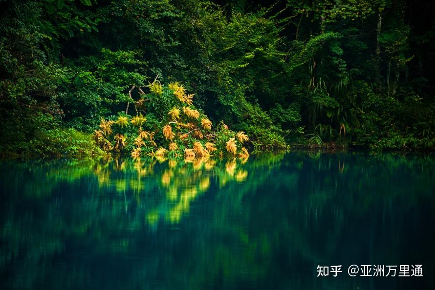 将凡最新,一场自然美景的旅行,寻找内心的平和与喜悦