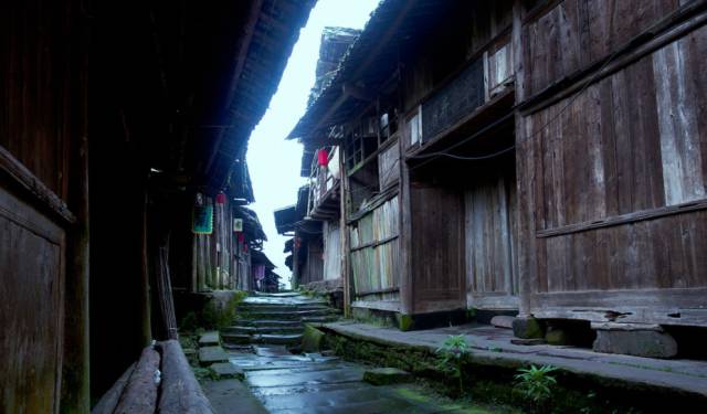 胜利最新门户,小巷中的隐秘美味