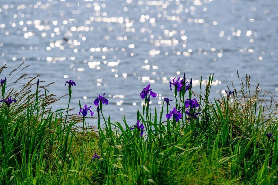 灵璧最新宣判,大自然喊你开启心灵之旅