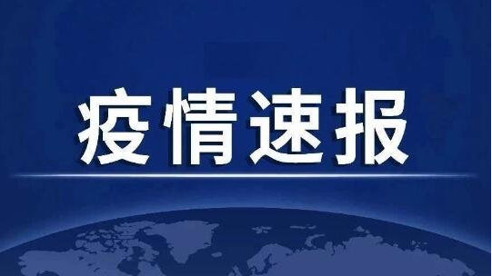 宣化最新确诊,小巷深处的独特风味