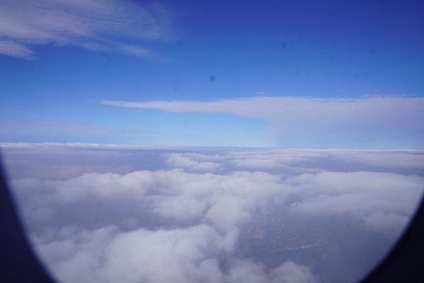 以德报怨最新,一场与自然美景的浪漫旅行