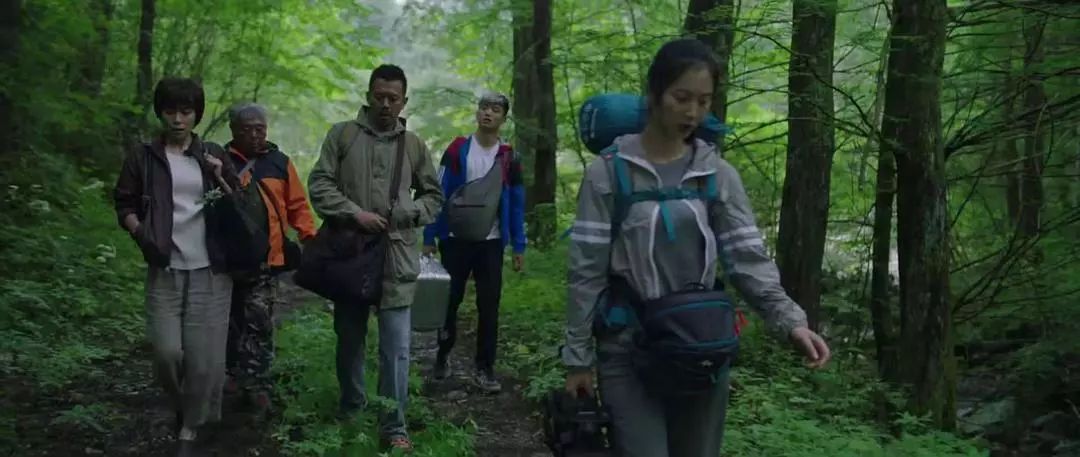 国产最新H,一场心灵与自然的美妙之旅