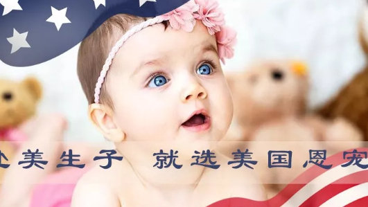 赴美生子最新,巷弄深处的孕育秘境