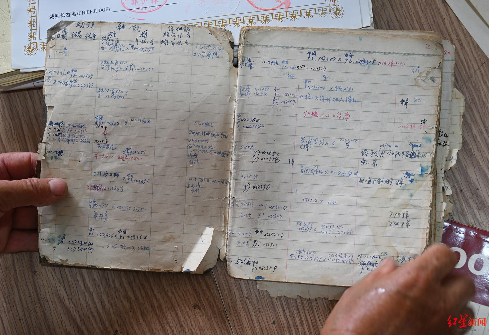 最新疫情收据背后的温馨故事