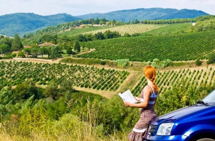 迷宫饭最新,一场探索自然美景的轻松之旅