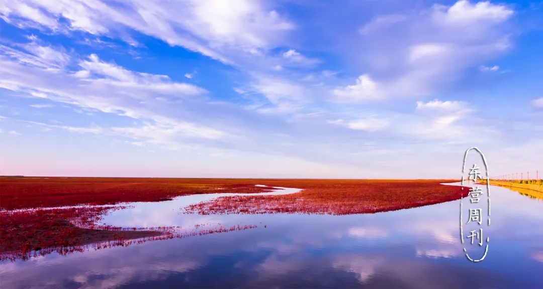 最新东营,一场自然美景的探索之旅,寻找内心的平和与宁静