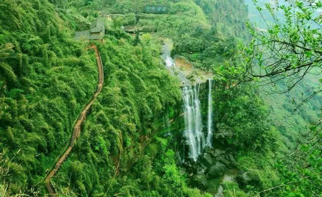 驱虎最新，一场与自然美景的轻松邂逅