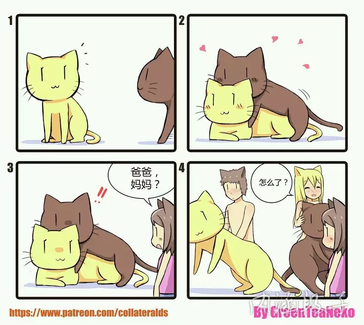 绿茶猫最新,温馨的日常趣事