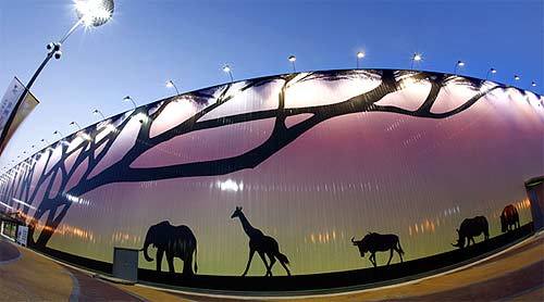 非洲洪灾最新,逆境中的力量与希望之光