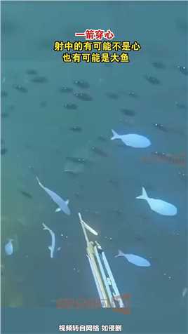 最新捕鱼优惠,巷弄深处的小店探秘