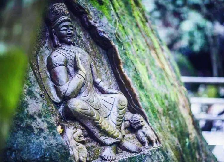 西安最新治愈,重塑健康的希望之地