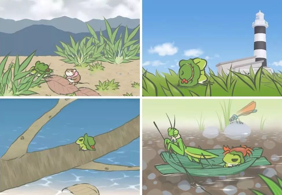 青蛙最新ID，一场自然美景的探索之旅，寻找内心的平和与喜悦