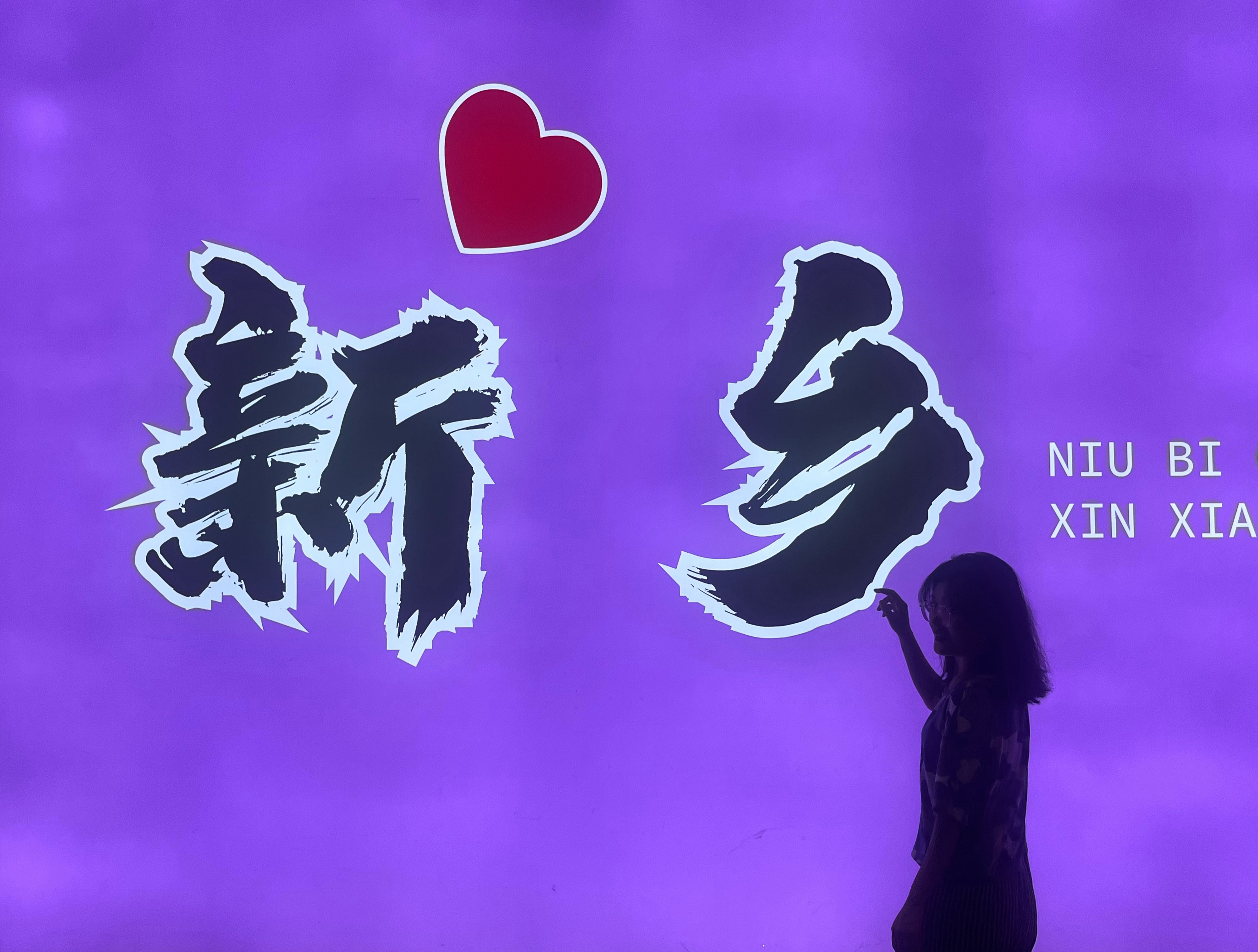 新乡最新确诊,小巷深处的独特风味