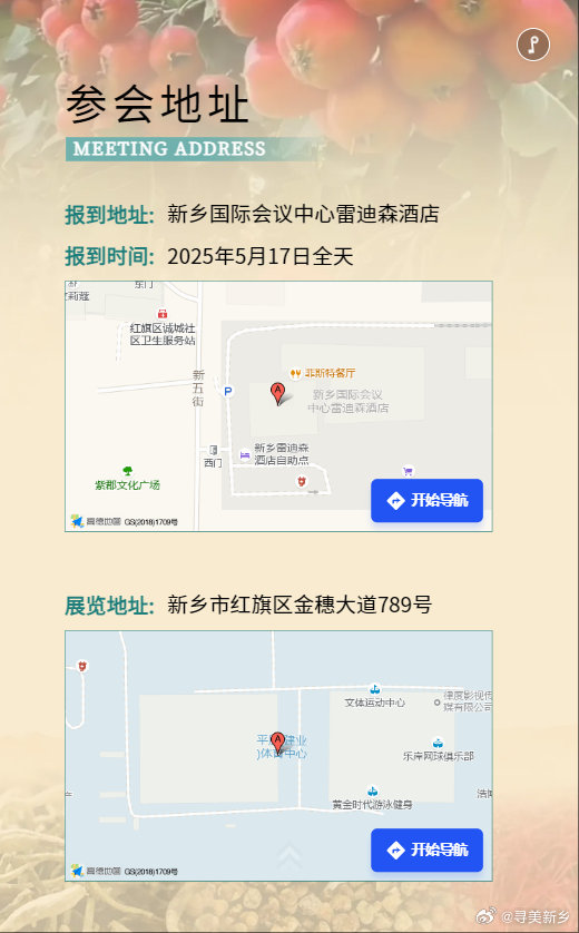 新乡最新确诊,小巷深处的独特风味