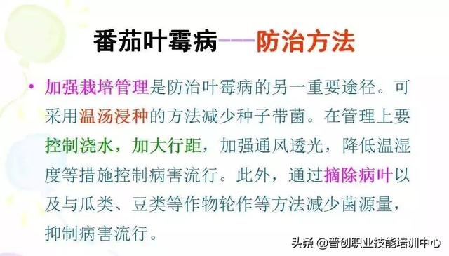 蝗虫危害最新,防治指南与应对策略