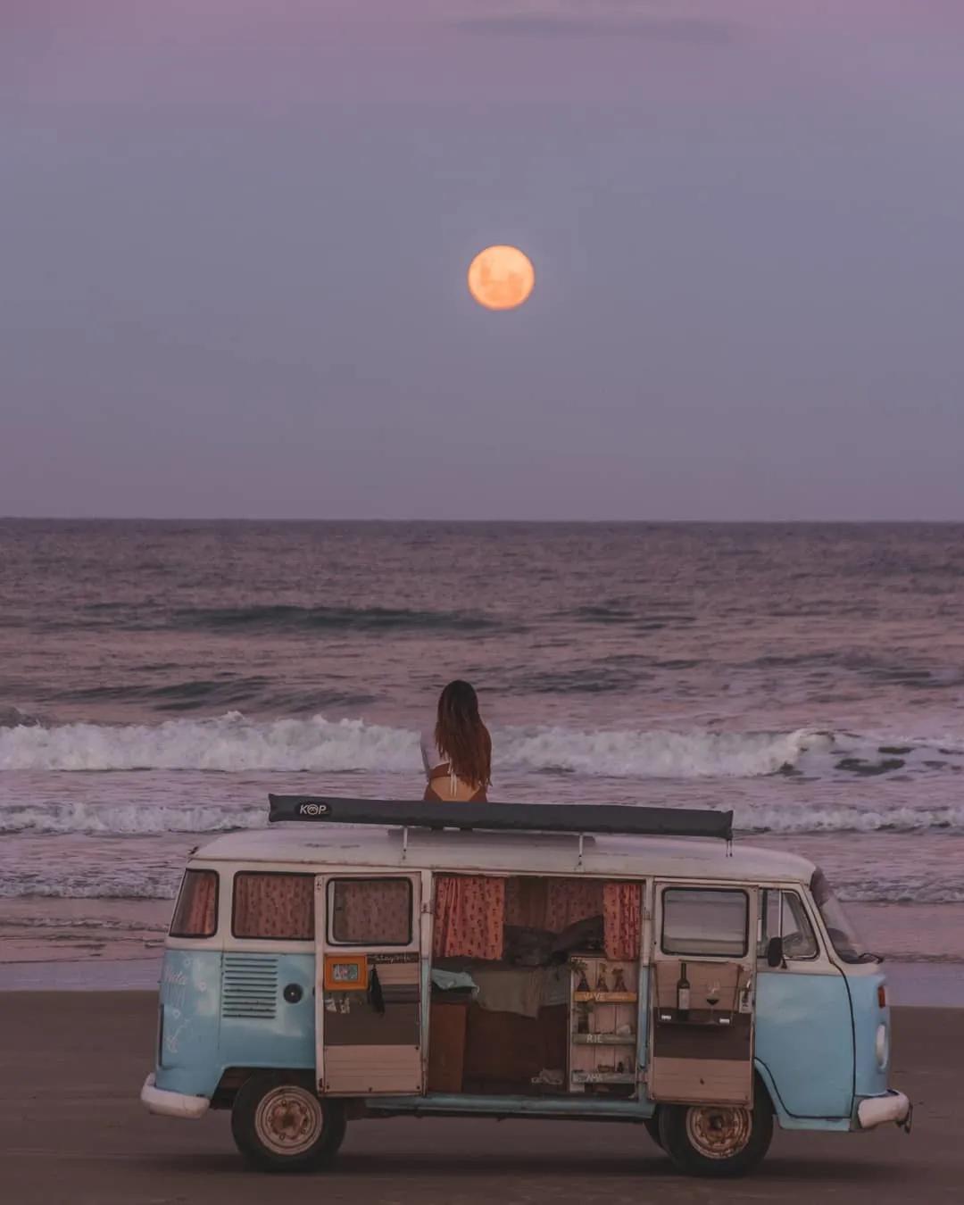 最新软女人的日常故事