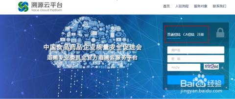 云同伴最新,追溯背景,探寻其在时代中的独特地位