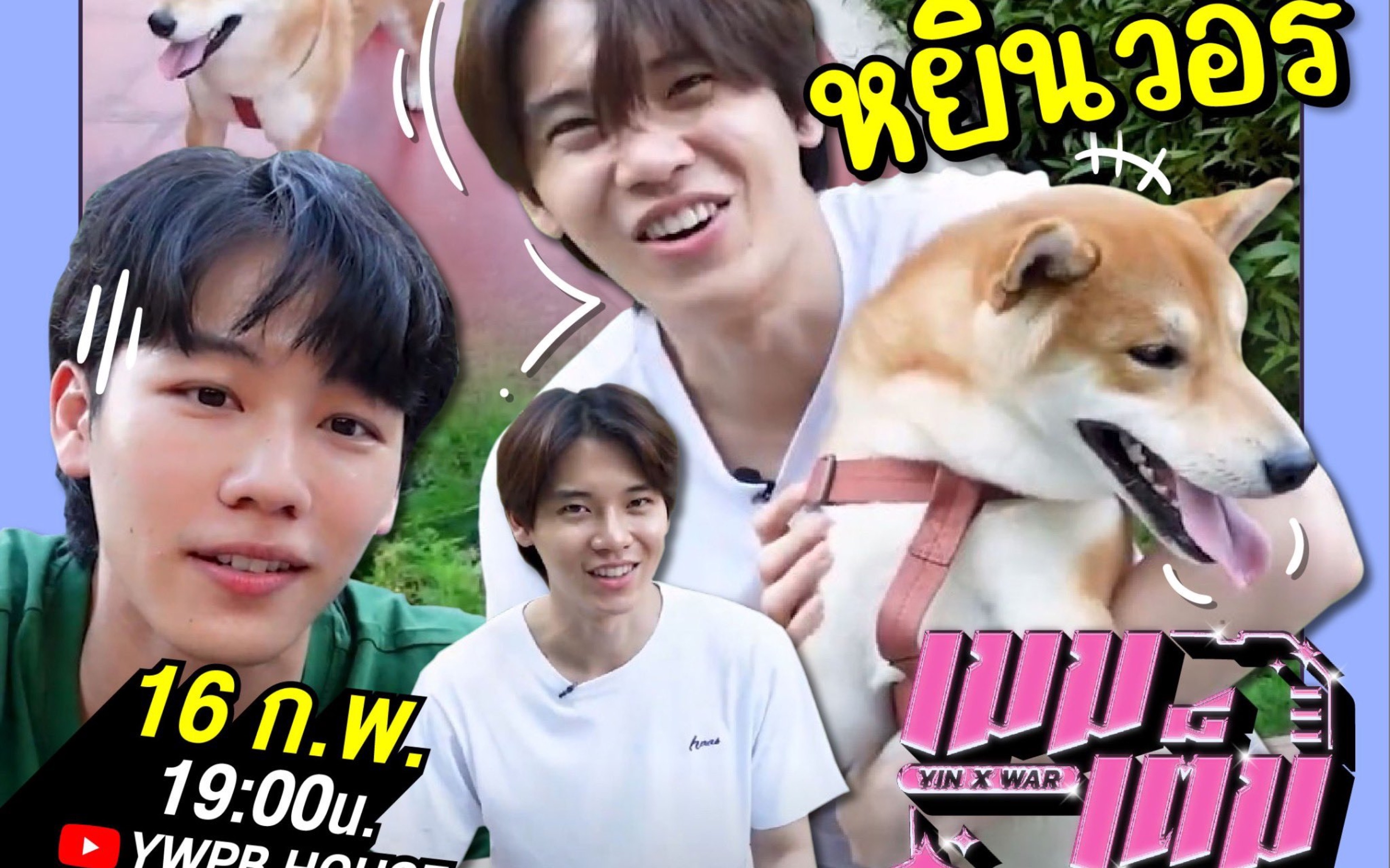 Yinwar最新综艺节目,探索时代的新篇章