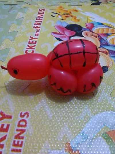 最新巴克球,玩转学习,自信与成就感的魔法球