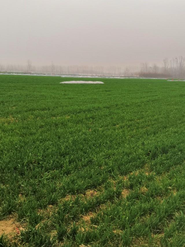 本日最新疫情,时代背景下的严峻挑战