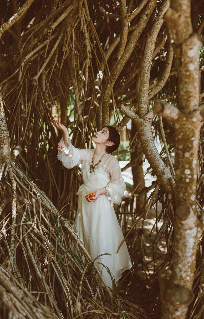 果货最新,一颗果子的奇幻旅程与友情印记