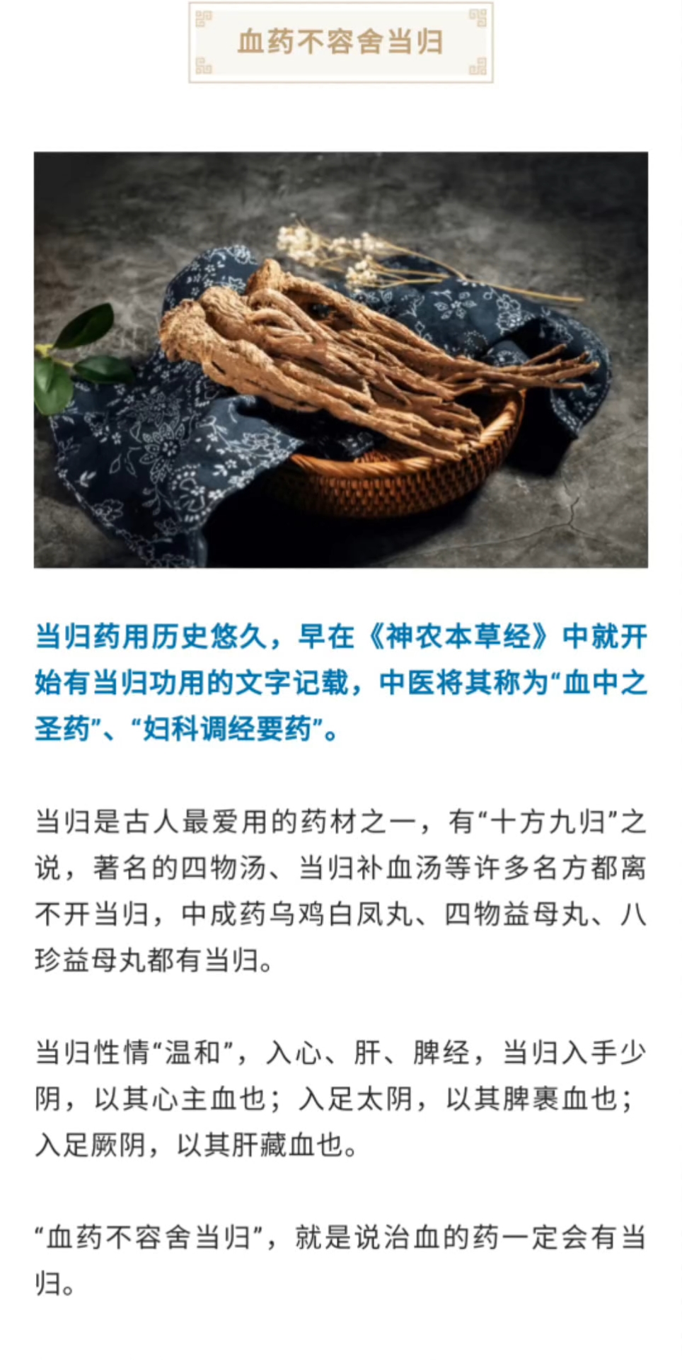 最新当归价,一场寻找内心平静的旅行