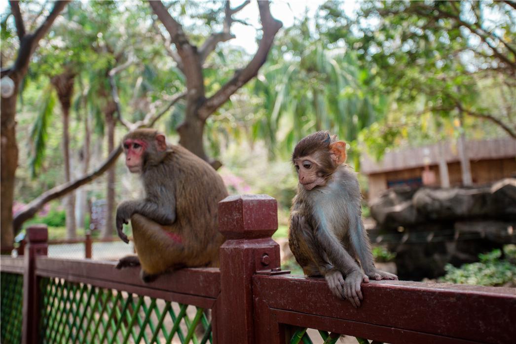 陵水疫情下的温馨日常
