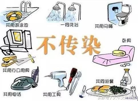 最新泳池过滤系统,夏日里的欢乐纽带