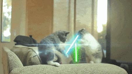 卓伟最新动态,聚焦娱乐报道的新焦点