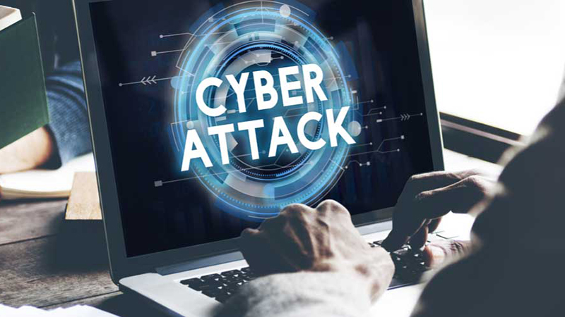 最新海德薇使用步骤指南