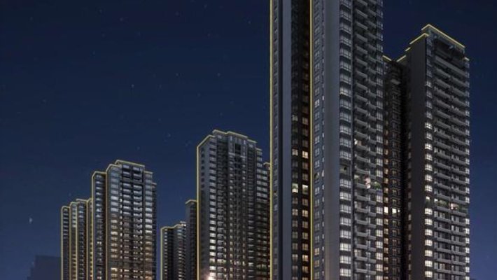 无极县最新房价首付,无极县最新房价首付分析与展望