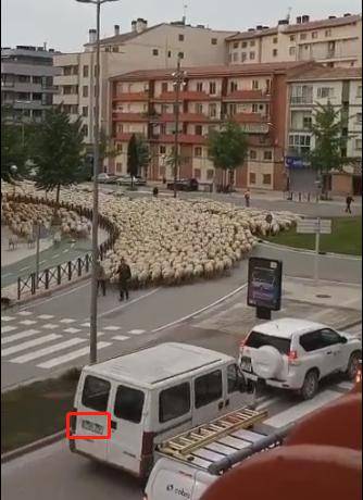 2024澳门免费资料大全_官羊新村六月最新消息,稳固执行战略分析_定制版5.91.904