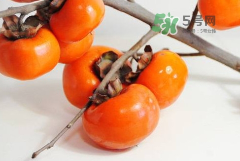 四海为家 第7页