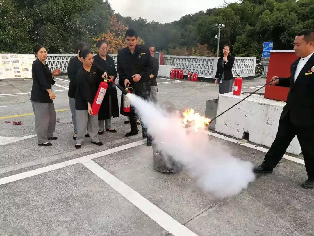 最新电燃灶,打造智能厨房新体验🔥✨