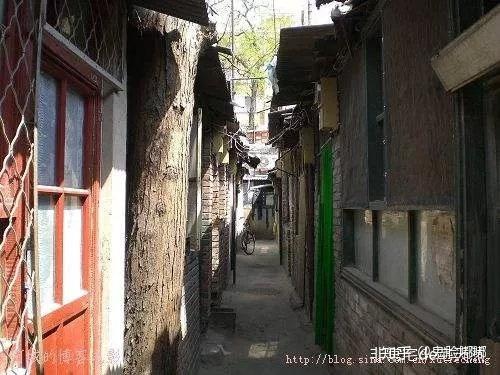 邢台最新限号,探秘小巷中的独特风味