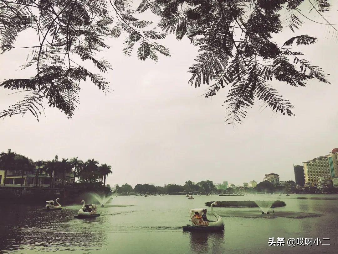 万籁俱寂 第8页