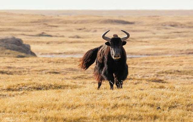 鹤立鸡群 第7页