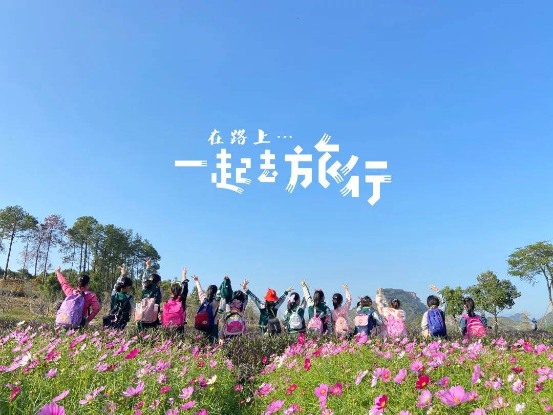 唐河最新招聘信息,启程,探索自然美景之旅